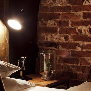 XL-Loft mit Doppelbett, Nachttischlampe, Pflanze und Backsteinwand